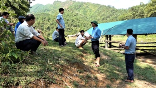 Ảnh  Pct UBND xổ số trực tuyến miền trung
 kiểm tra Dự án nuôi trâu tại xã Hữu Sản